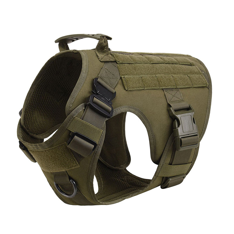 Alpha Sentinel™ – Dominate Every Terrain