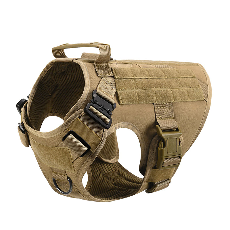 Alpha Sentinel™ – Dominate Every Terrain