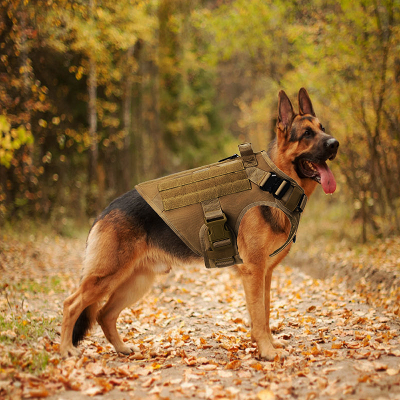 Alpha Sentinel™ – Dominate Every Terrain