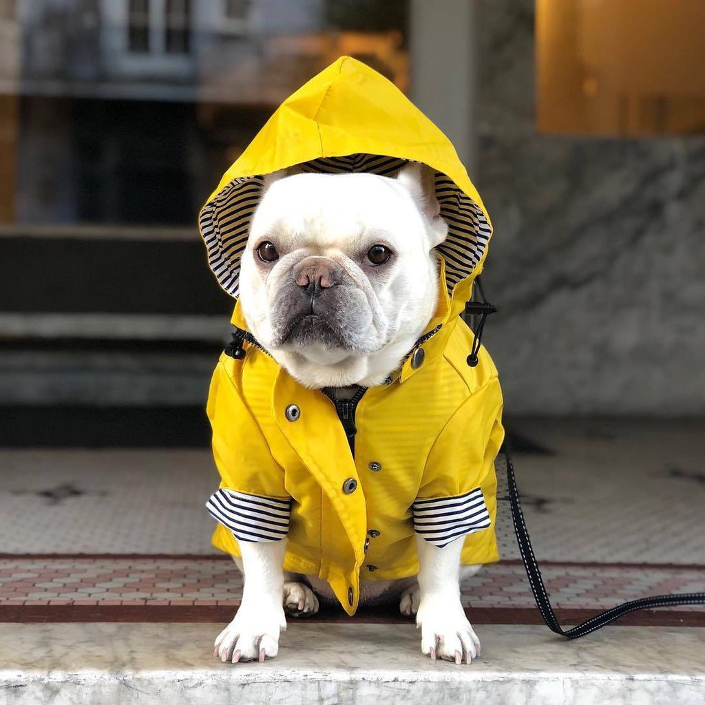 Alpha Tempest™ – Weatherproof Field Coat