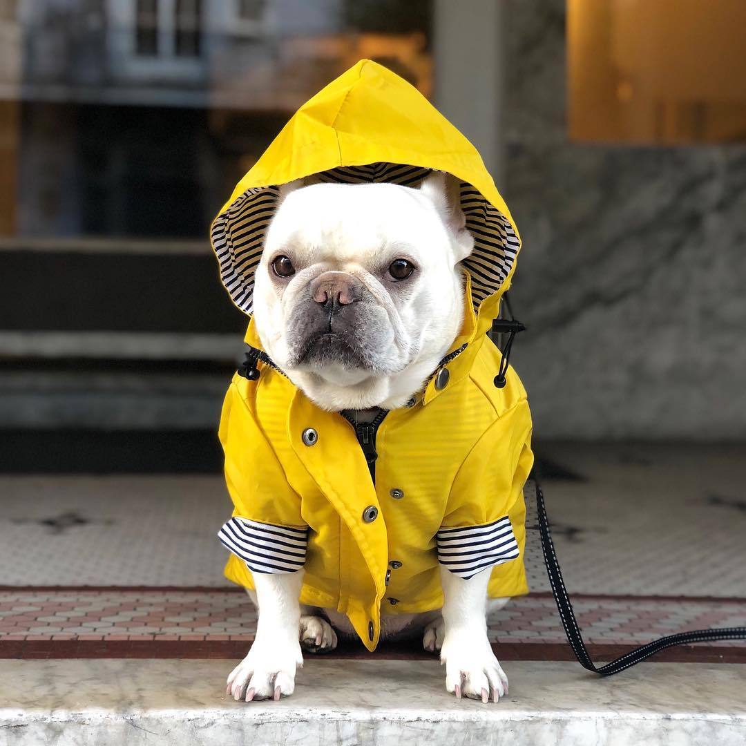 Alpha Tempest™ – Weatherproof Field Coat
