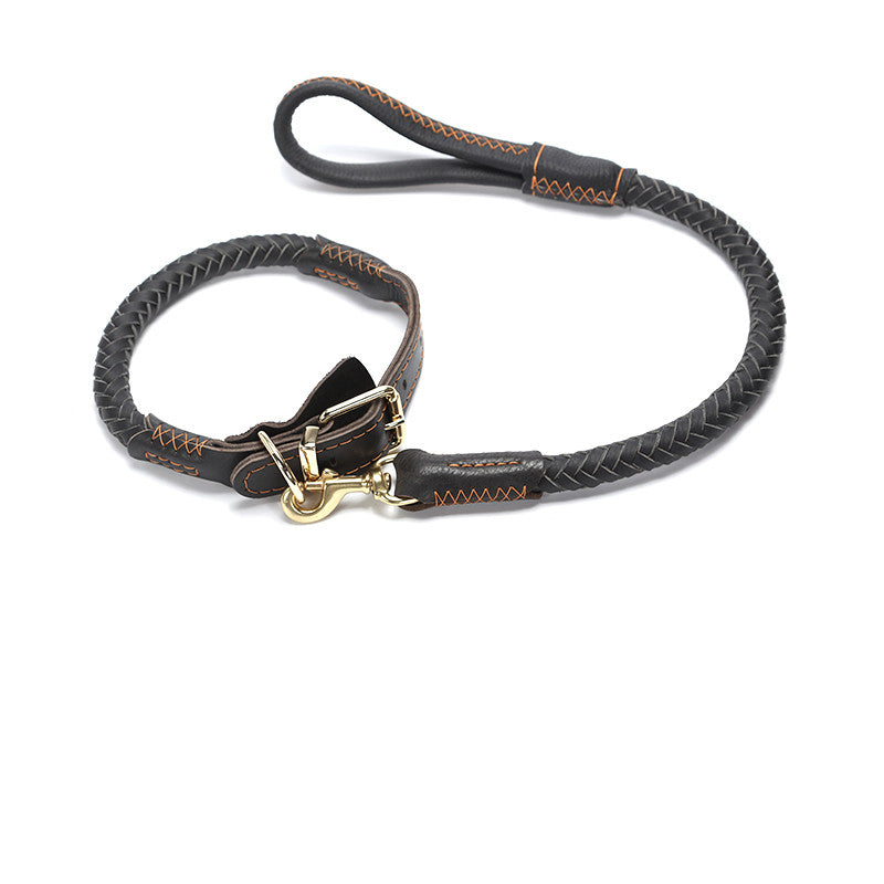Alpha Ironclad™ – Heritage Leather Command Leash