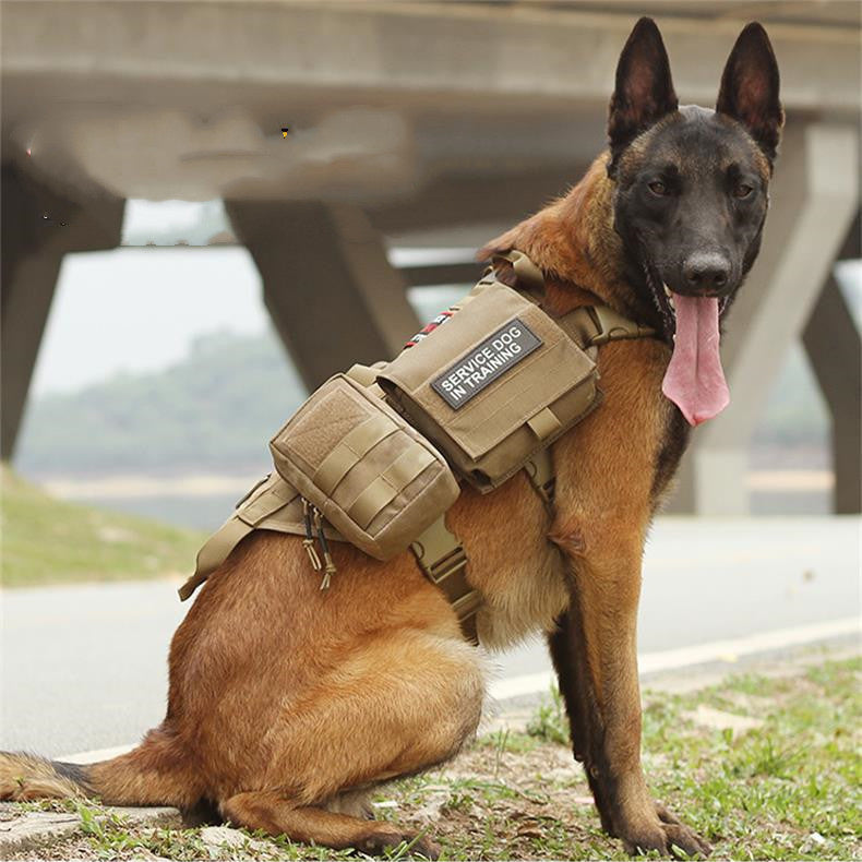 Alpha Warlord™ – Special Forces K9 Harness