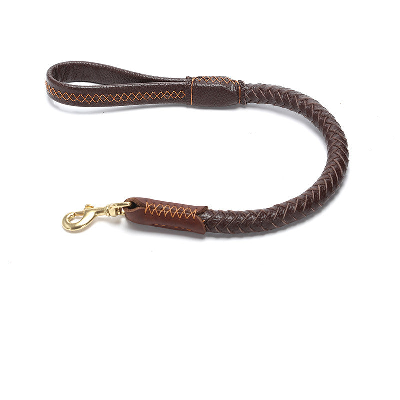 Alpha Ironclad™ – Heritage Leather Command Leash
