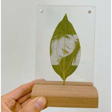 Khắc lá chân dung thú cưng