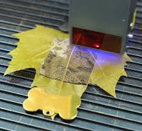 The Memorial Alpha Leaf